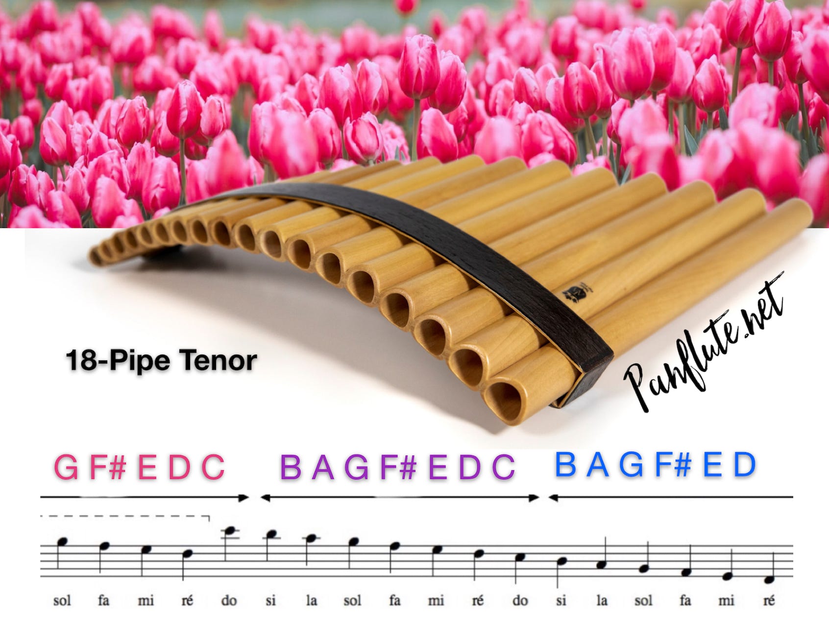 18 Pipe Tenor Pan Flute with roses in the background.