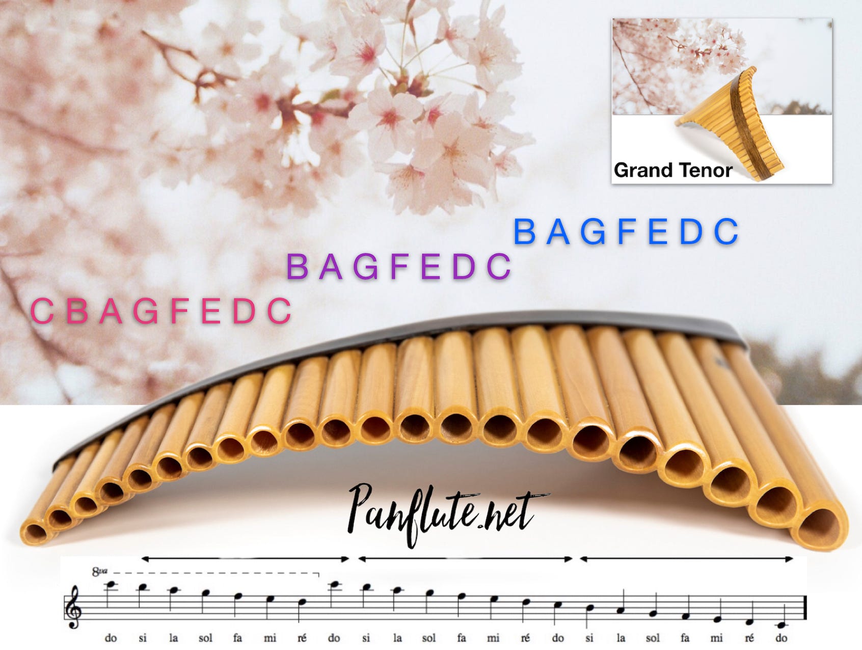 22 Pipe Grand Tenor Pan Flute with blossom in the background.